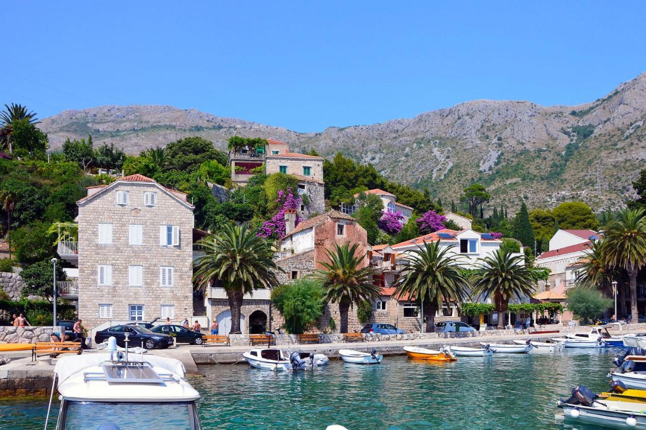 Luxury Villa Miriam With Private Pool And Jet Pool Near Dubrovnik Ivanica Extérieur photo